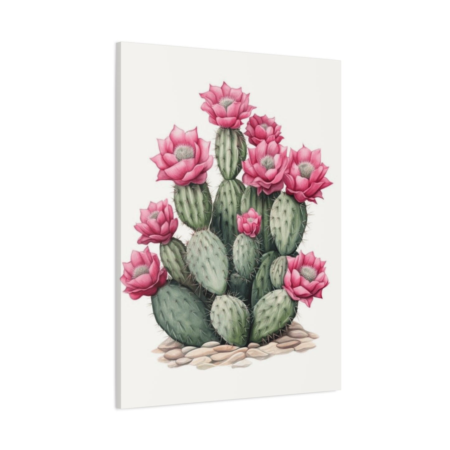 Pink Cactus Flower Wall Art & Canvas Prints