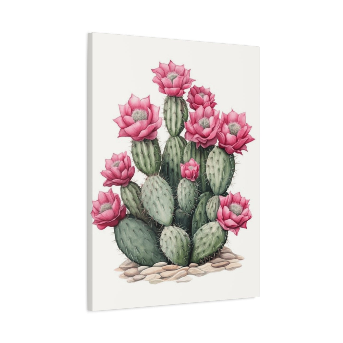 Pink Cactus Flower Wall Art & Canvas Prints