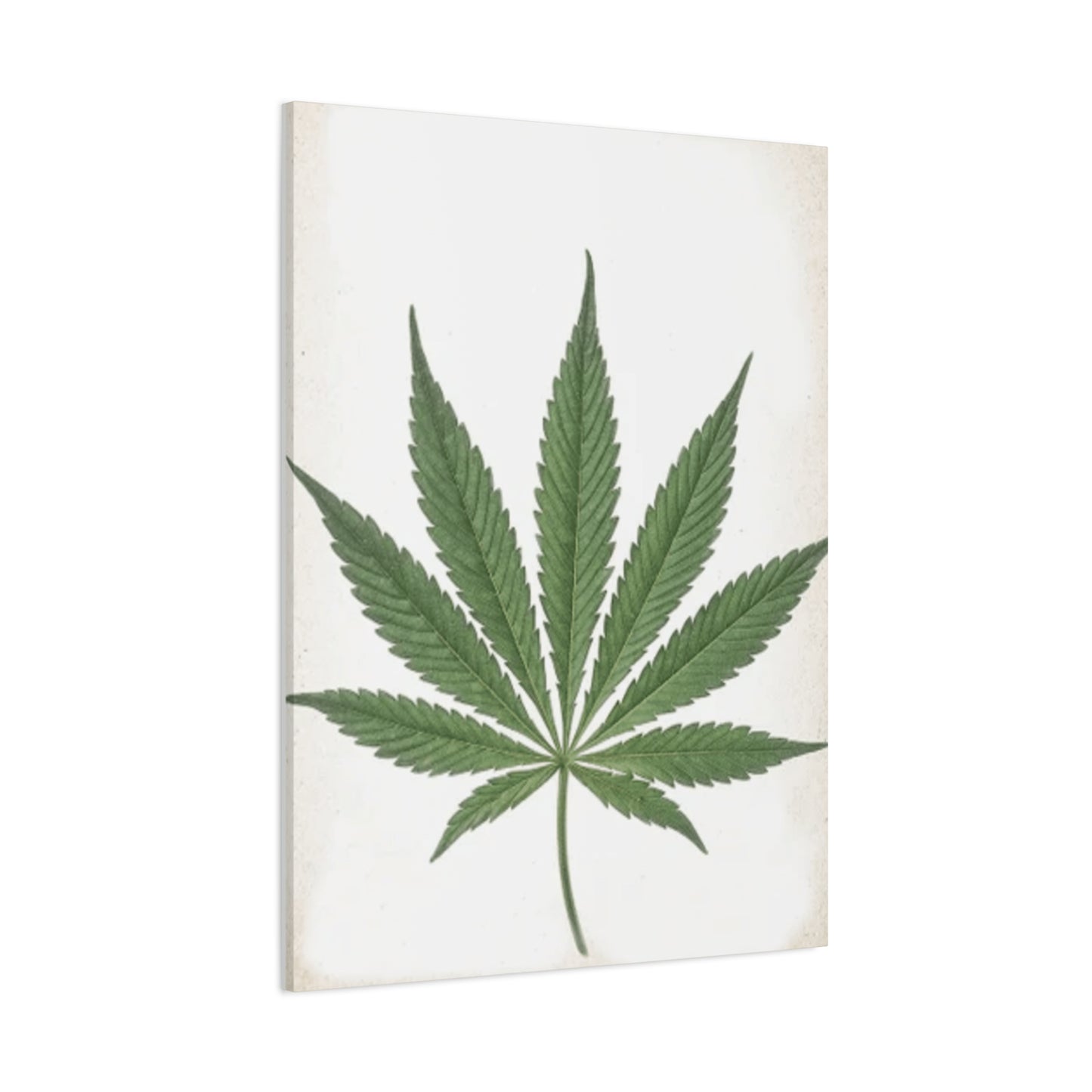 Marijuana Wall Art & Canvas Prints