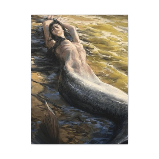 A Mermaid On The Seashore Wall Art & Canvas Prints