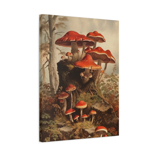 Mushrooms Wall Art & Canvas Prints