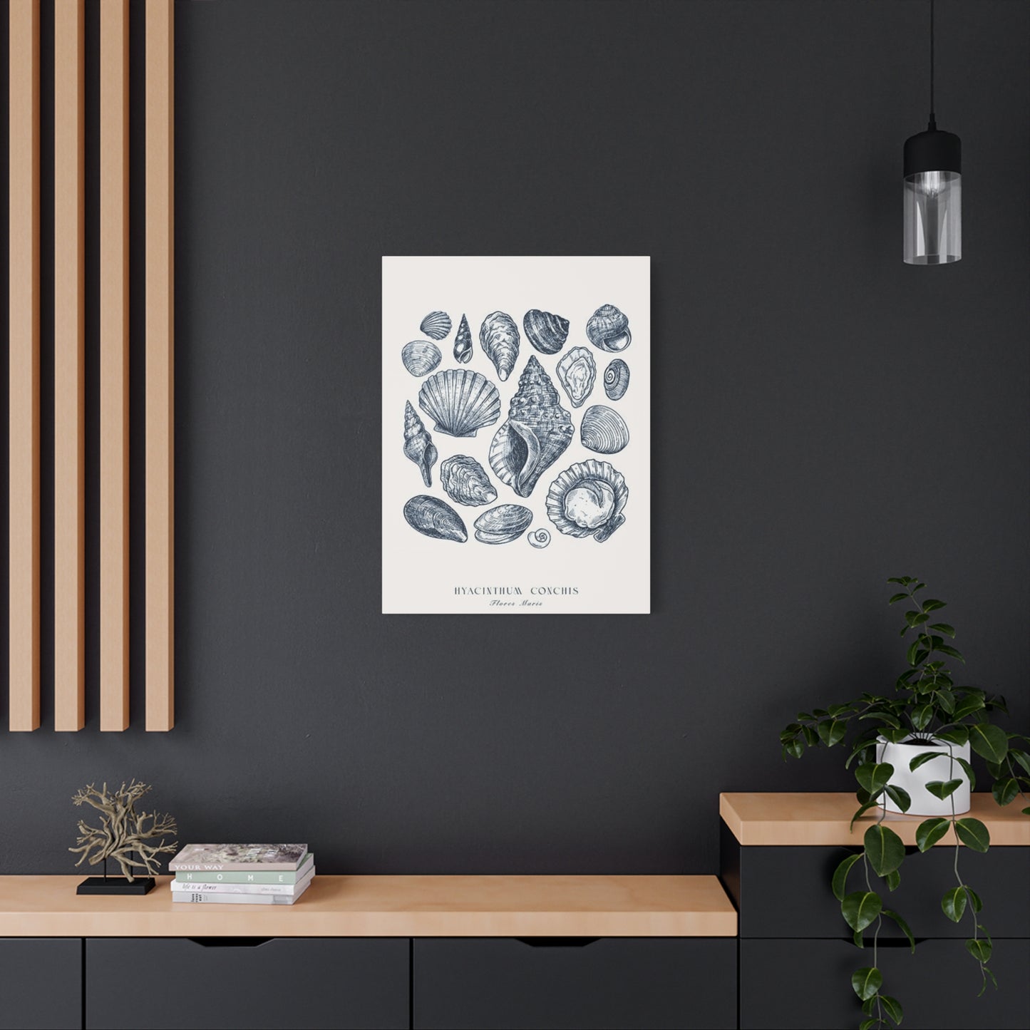 Shell Wall Art & Canvas Prints