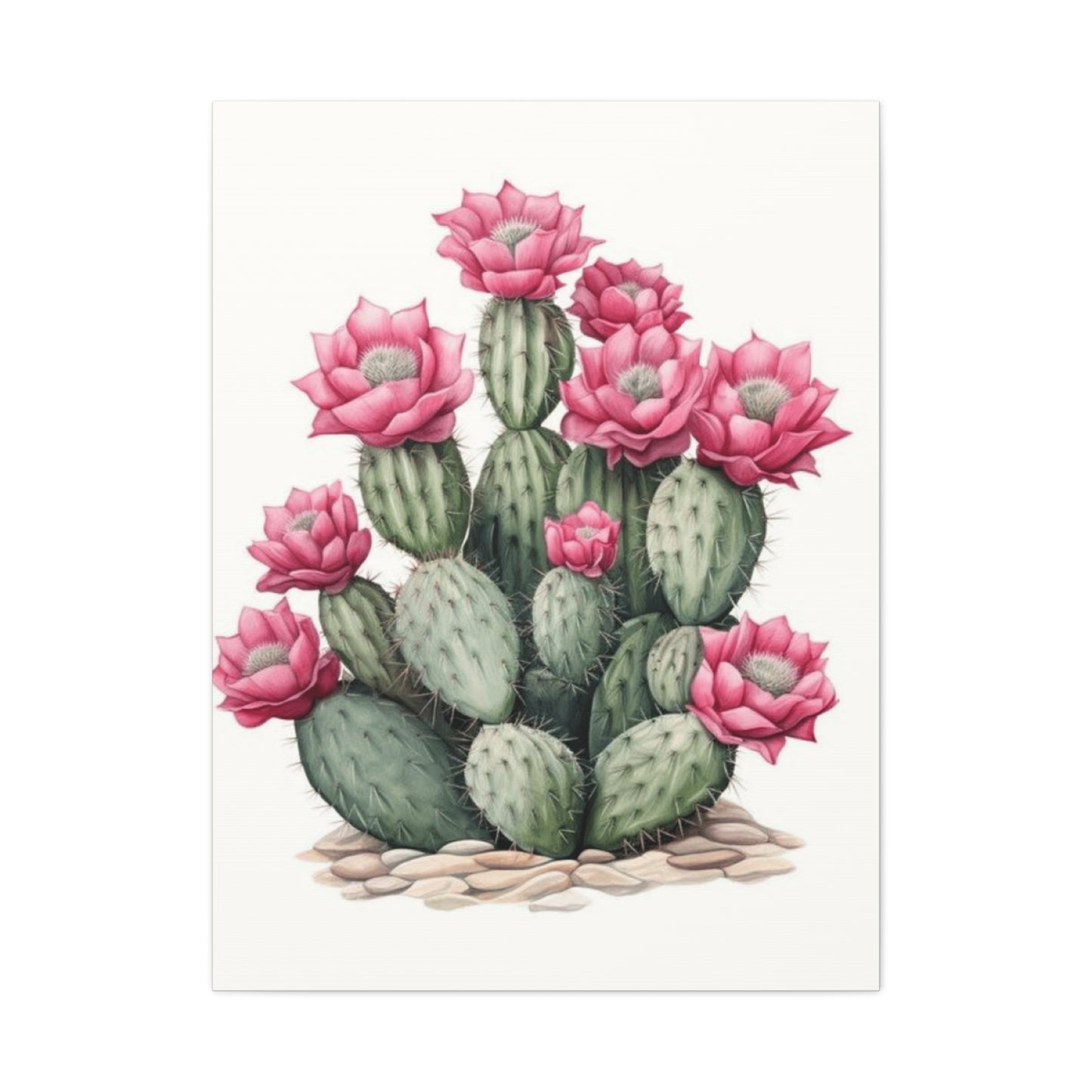 Pink Cactus Flower Wall Art & Canvas Prints