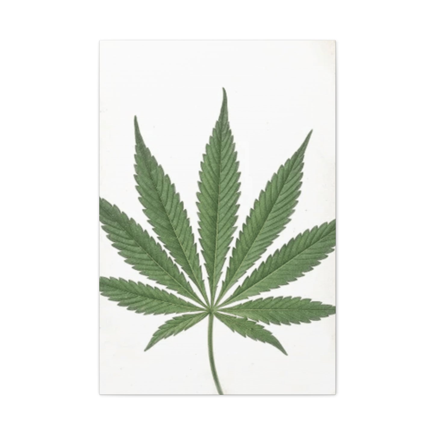 Marijuana Wall Art & Canvas Prints