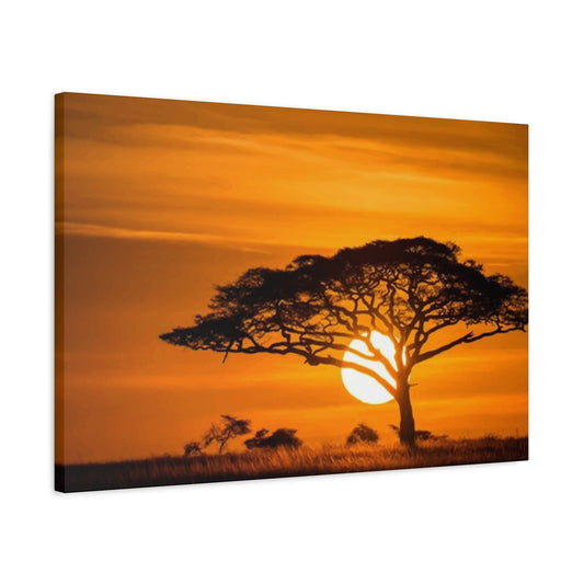 African Wall Art & Canvas Prints