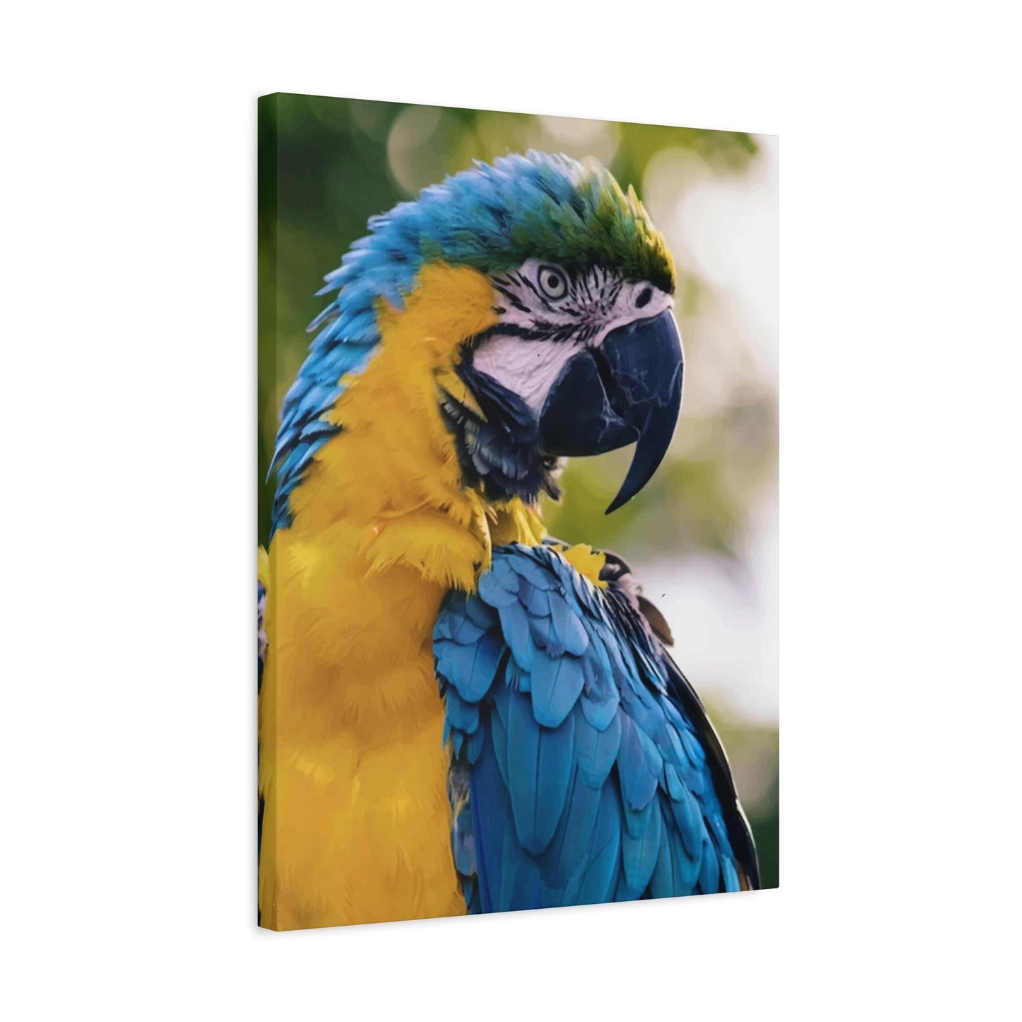 Bird Wall Art & Canvas Prints