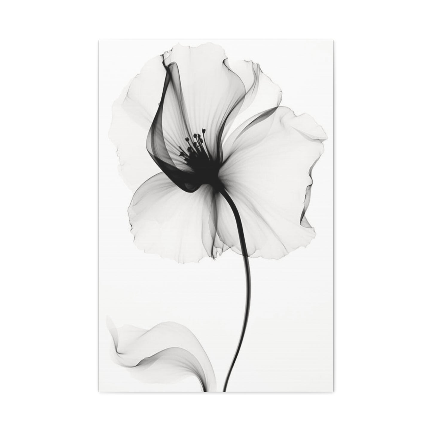 X-Ray Wall Art & Canvas Prints