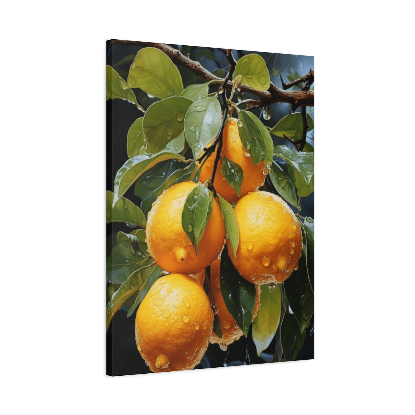 Oranges On Branches Wall Art & Canvas Prints