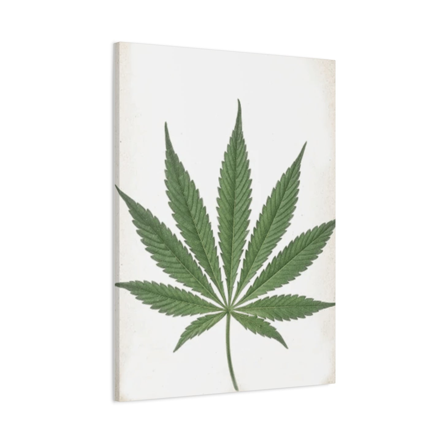 Marijuana Wall Art & Canvas Prints