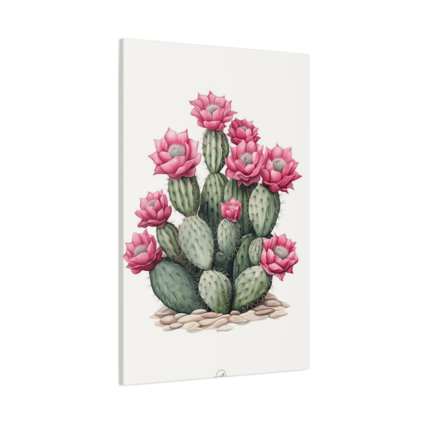 Pink Cactus Flower Wall Art & Canvas Prints