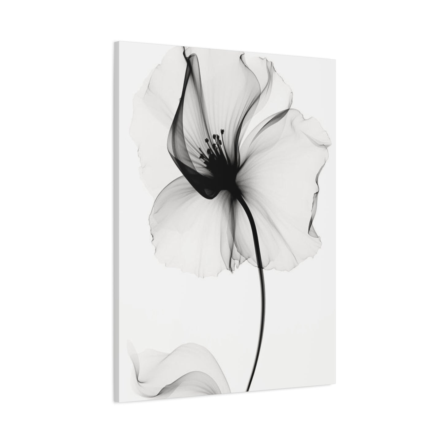 X-Ray Wall Art & Canvas Prints