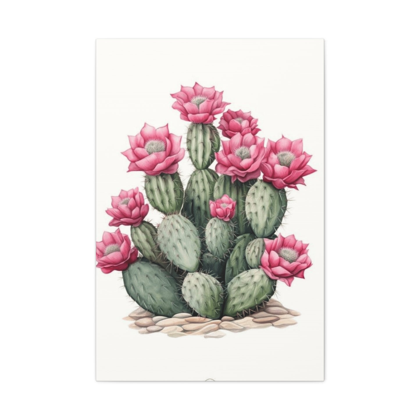 Pink Cactus Flower Wall Art & Canvas Prints