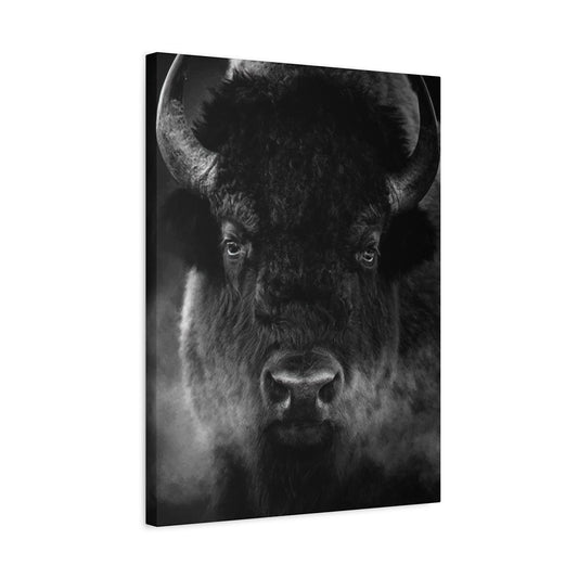 Bison Wall Art & Canvas Prints