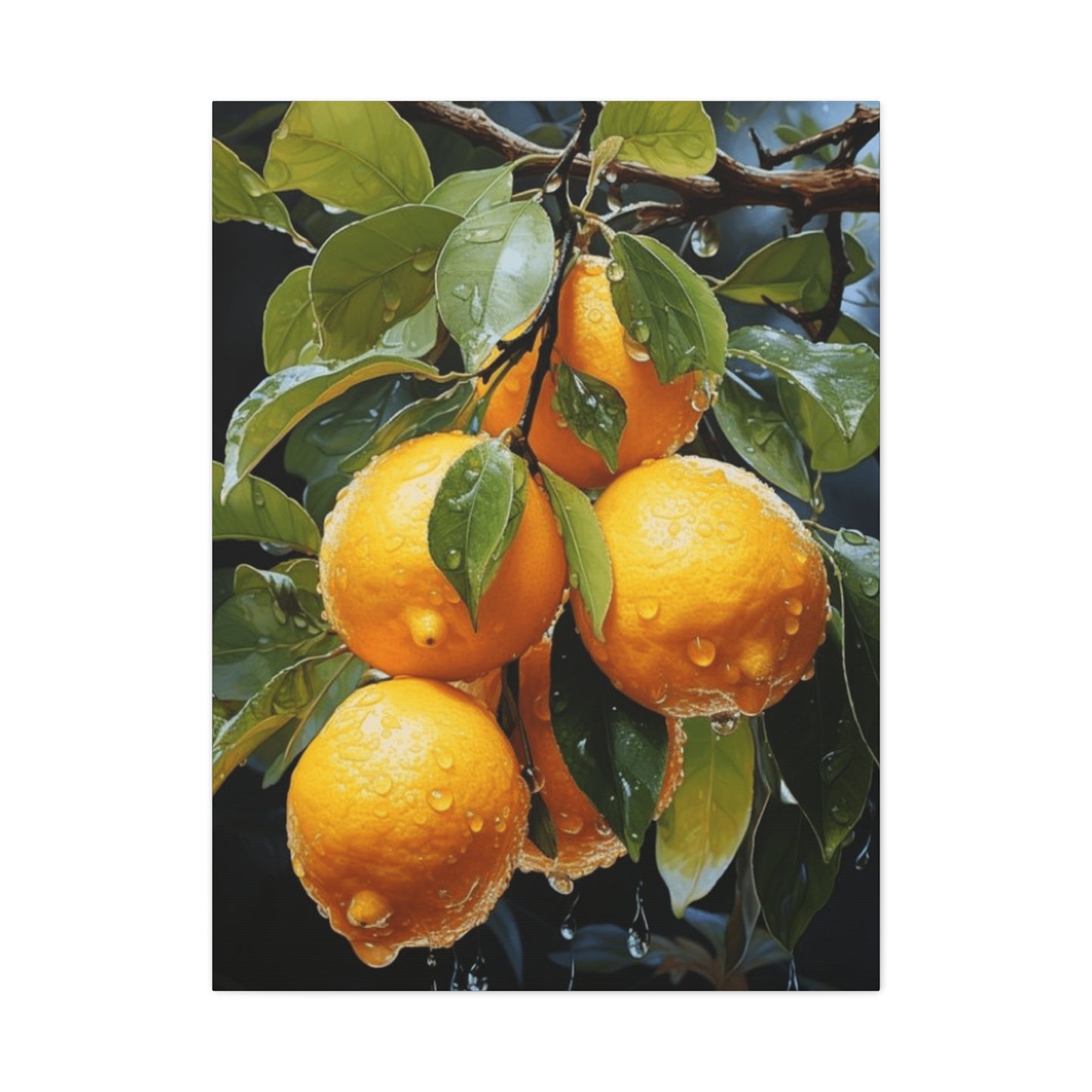 Oranges On Branches Wall Art & Canvas Prints