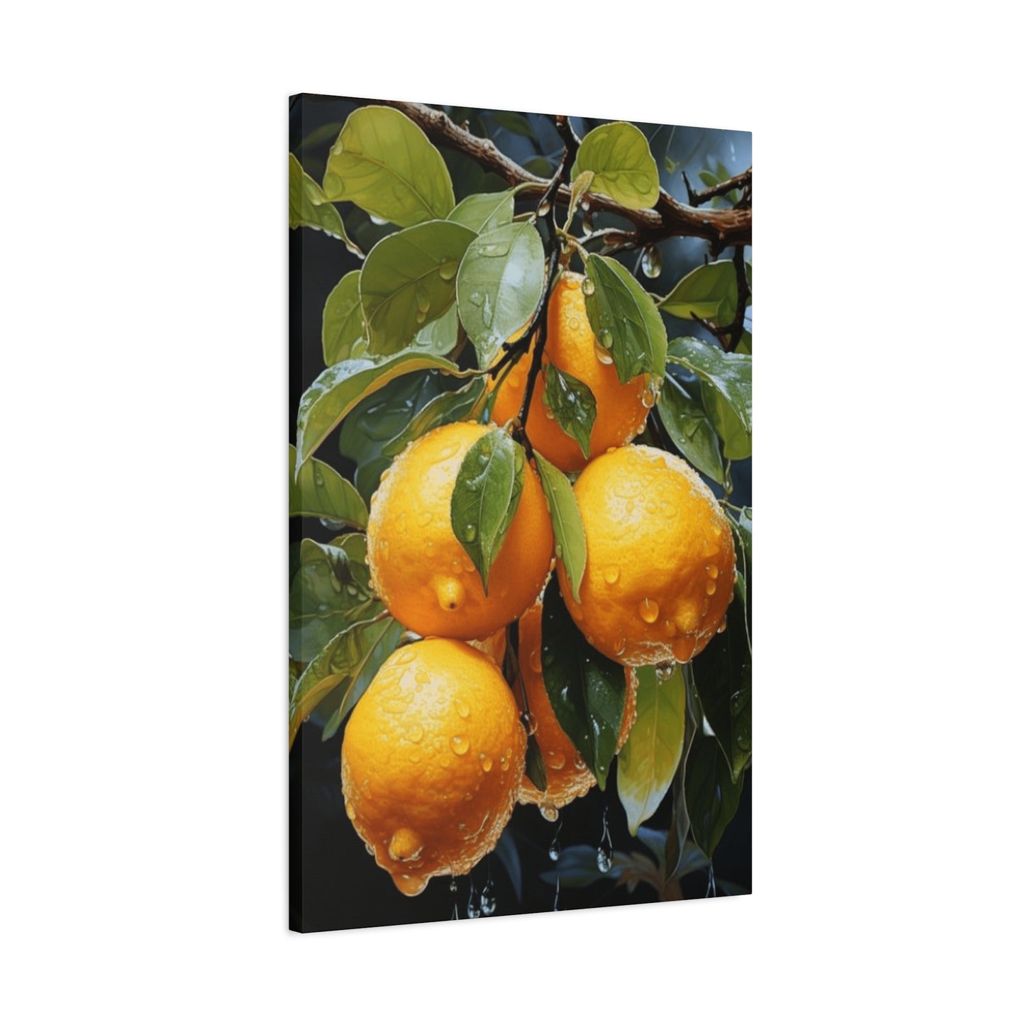 Oranges On Branches Wall Art & Canvas Prints