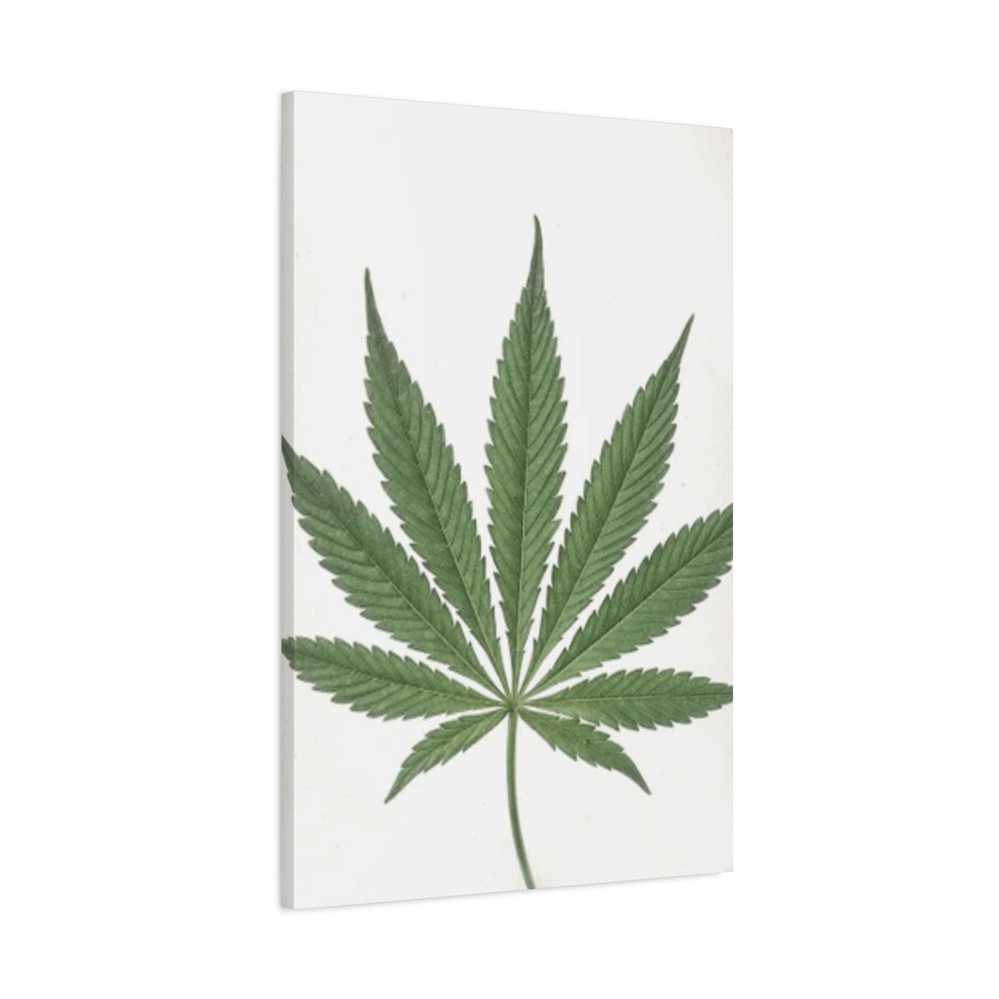 Marijuana Wall Art & Canvas Prints