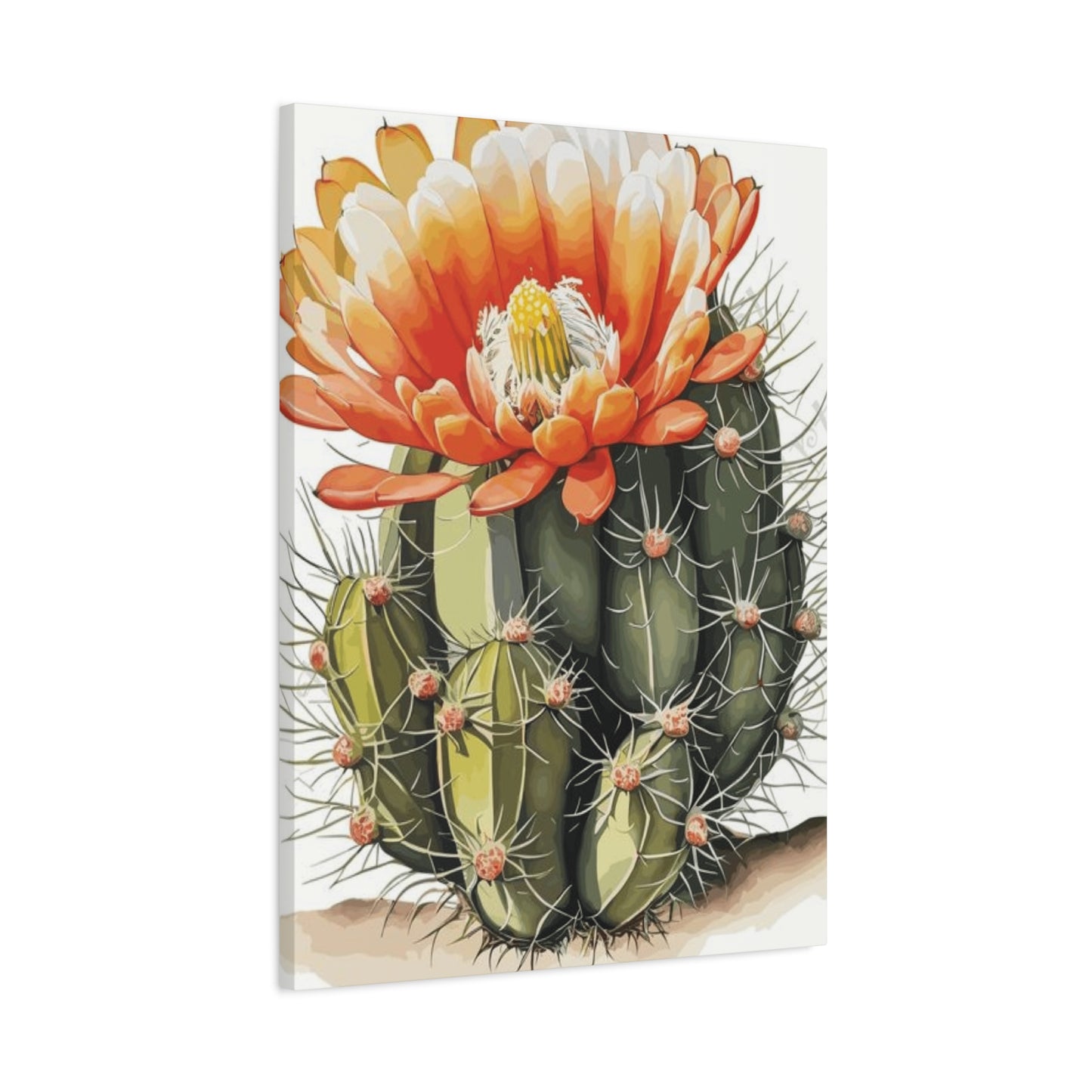 Large Cactus Flower Bloom Flower Wall Art & Canvas Prints