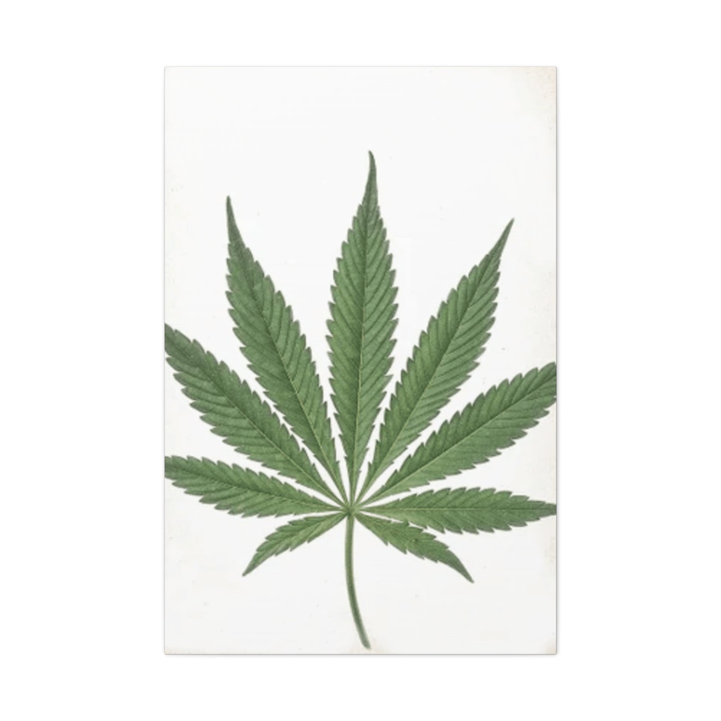 Marijuana Wall Art & Canvas Prints