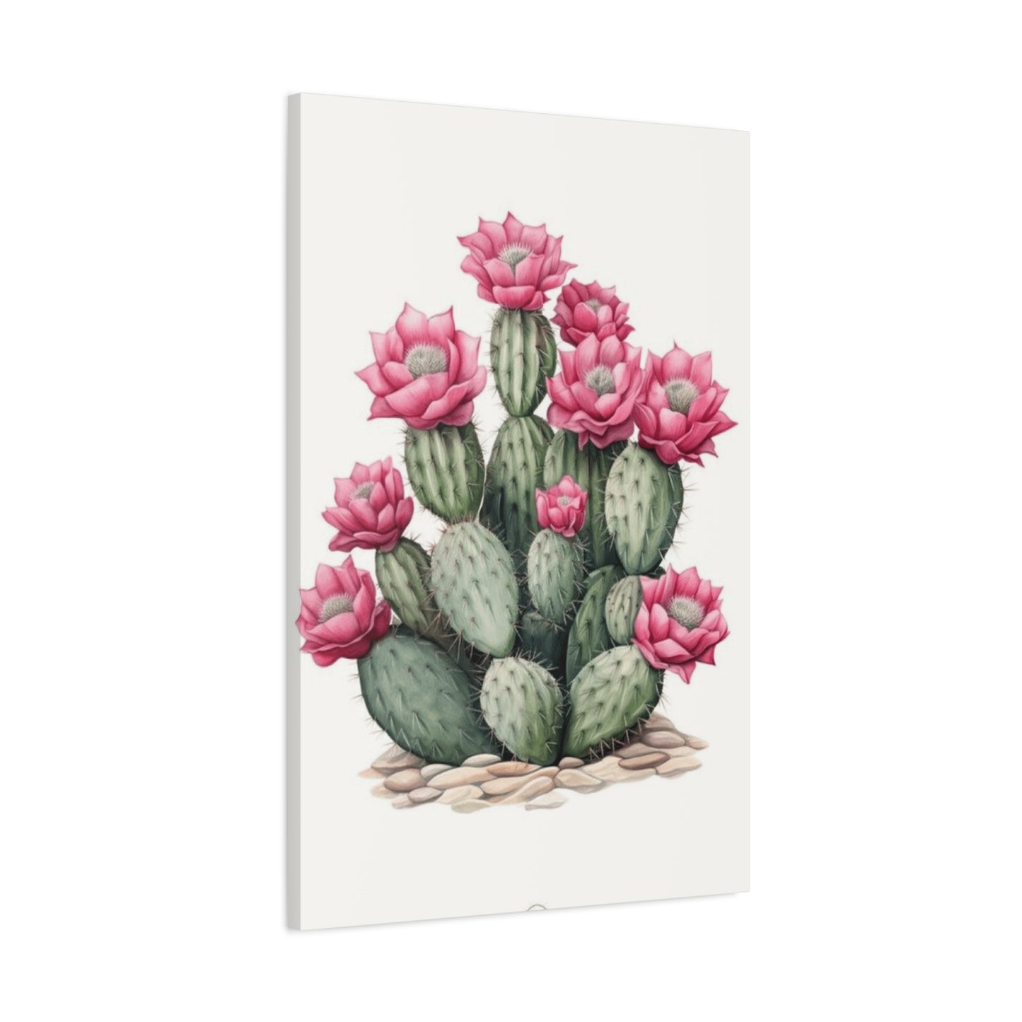 Pink Cactus Flower Wall Art & Canvas Prints