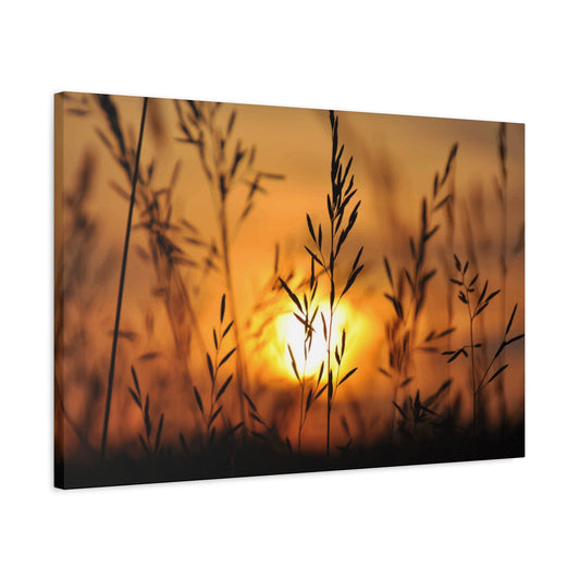 Dusk Wall Art & Canvas Prints