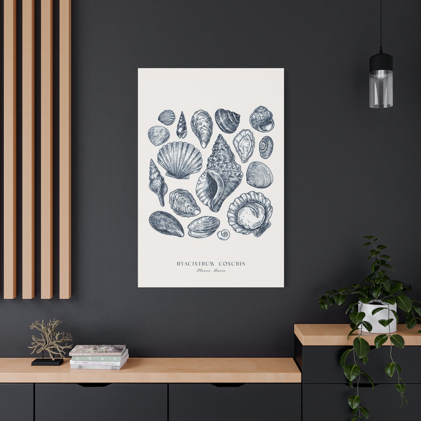 Shell Wall Art & Canvas Prints