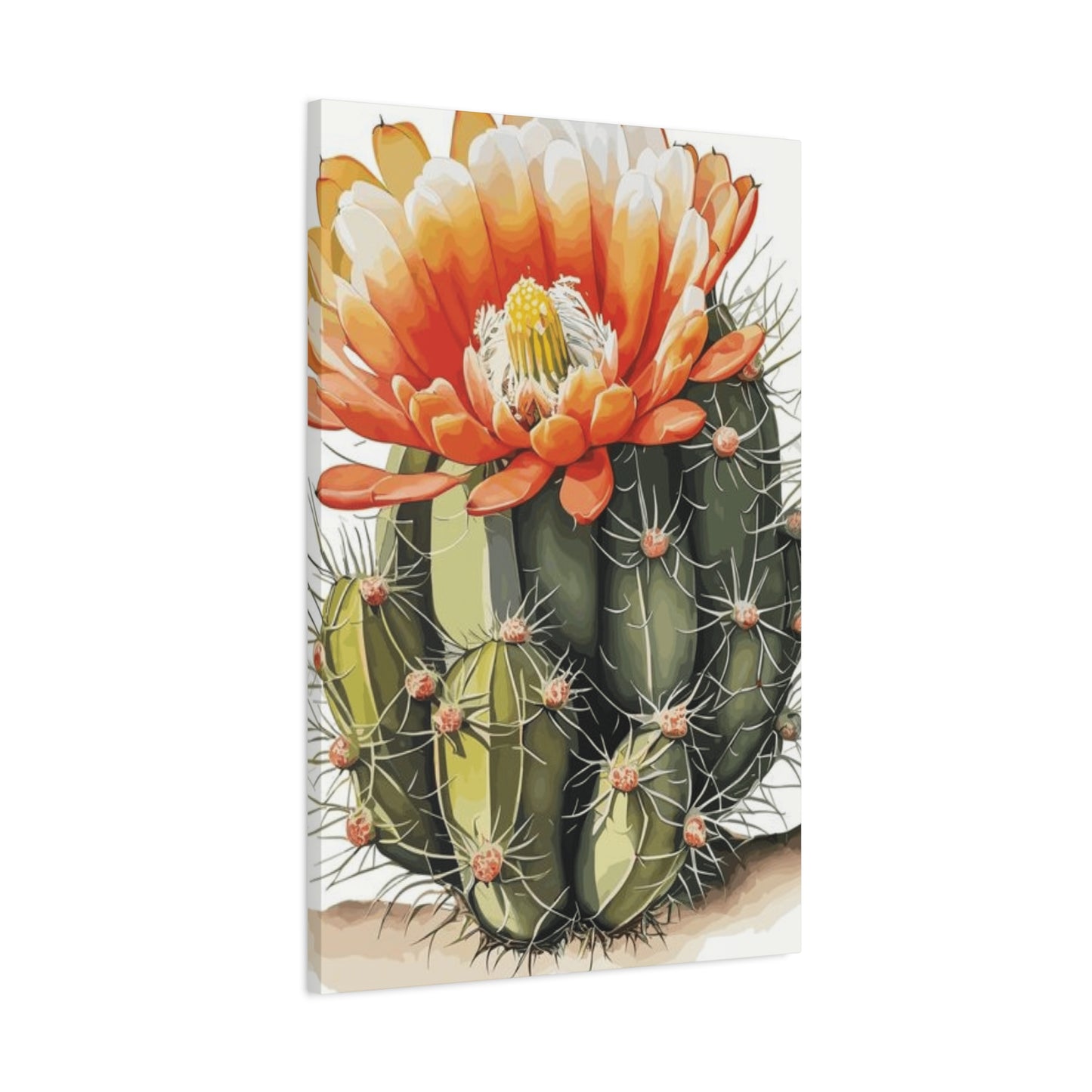 Large Cactus Flower Bloom Flower Wall Art & Canvas Prints