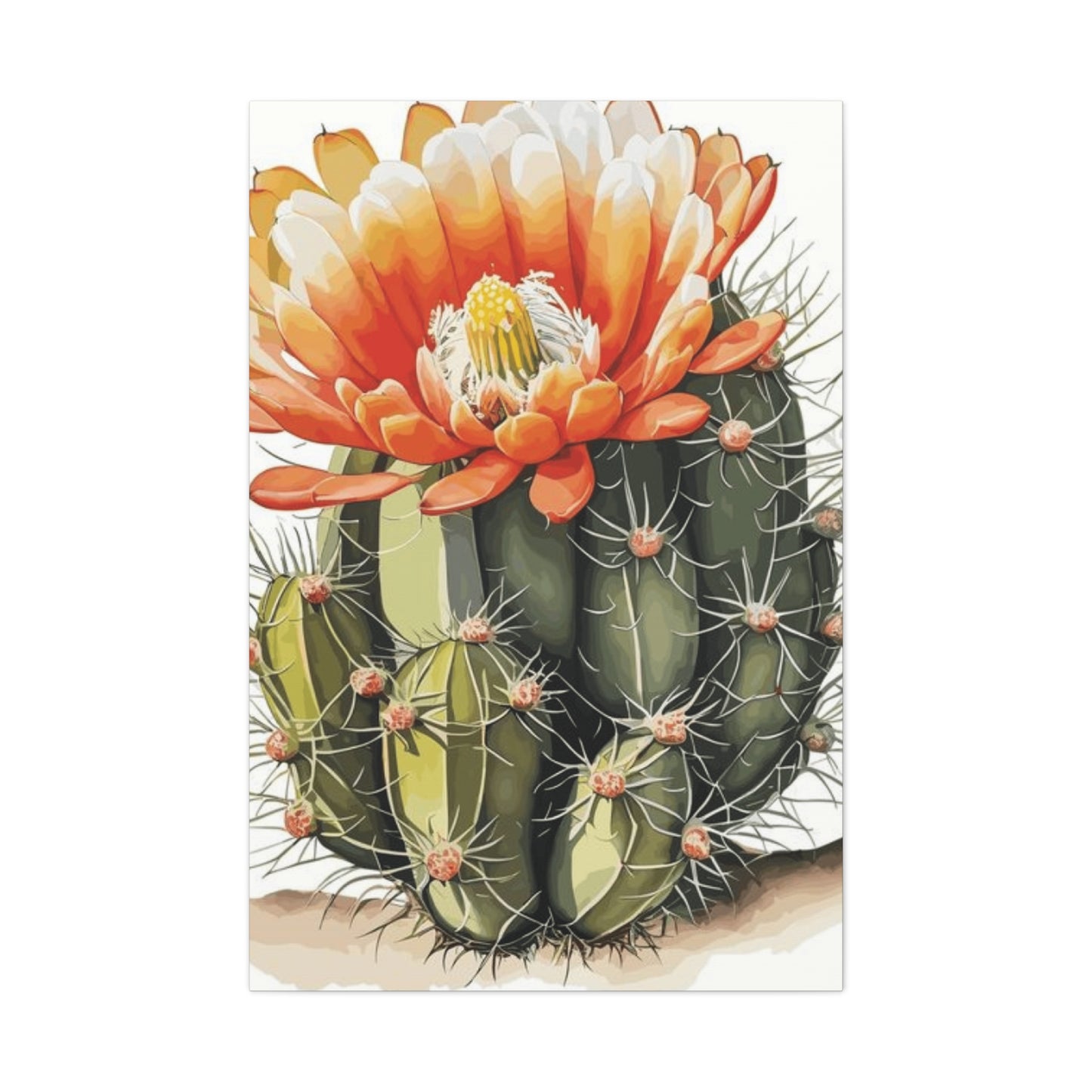 Large Cactus Flower Bloom Flower Wall Art & Canvas Prints