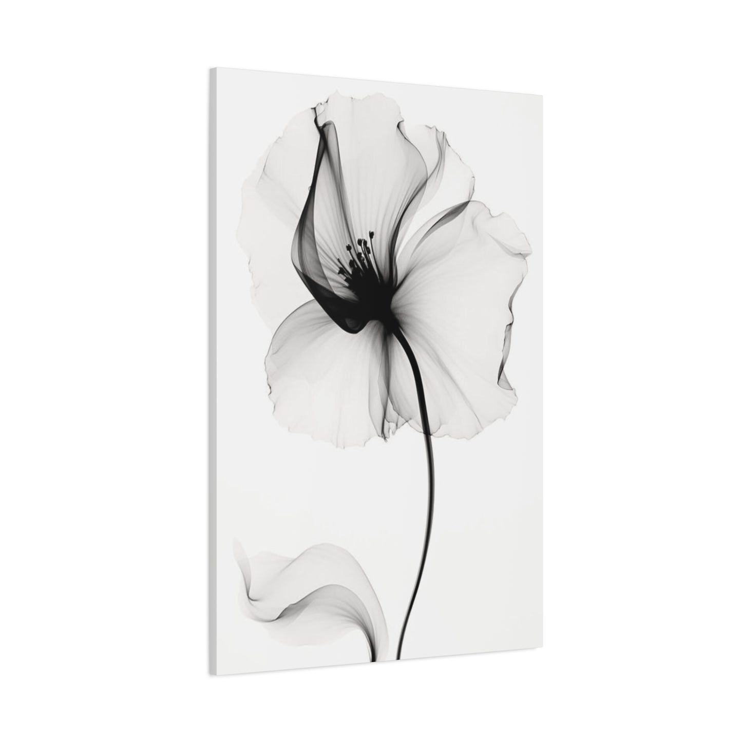 X-Ray Wall Art & Canvas Prints