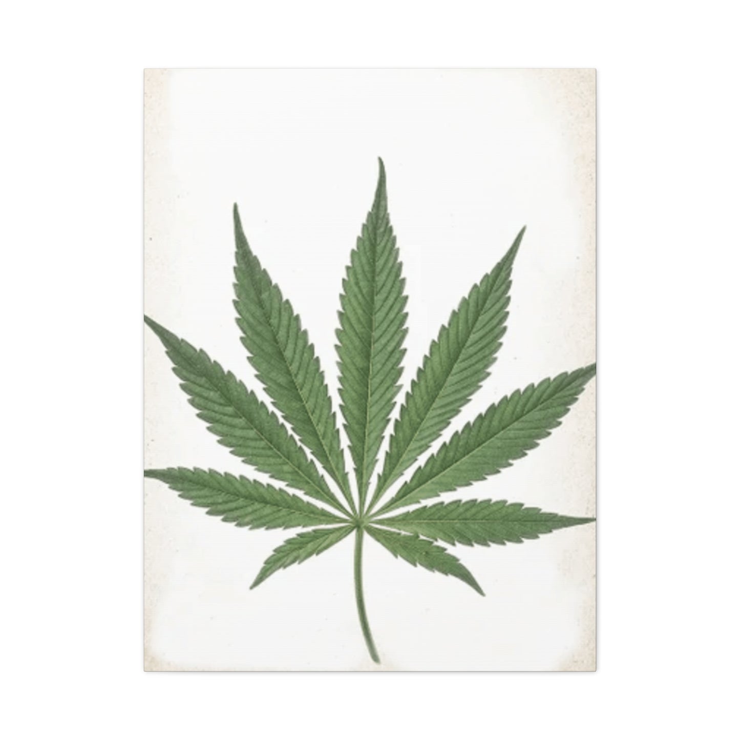 Marijuana Wall Art & Canvas Prints