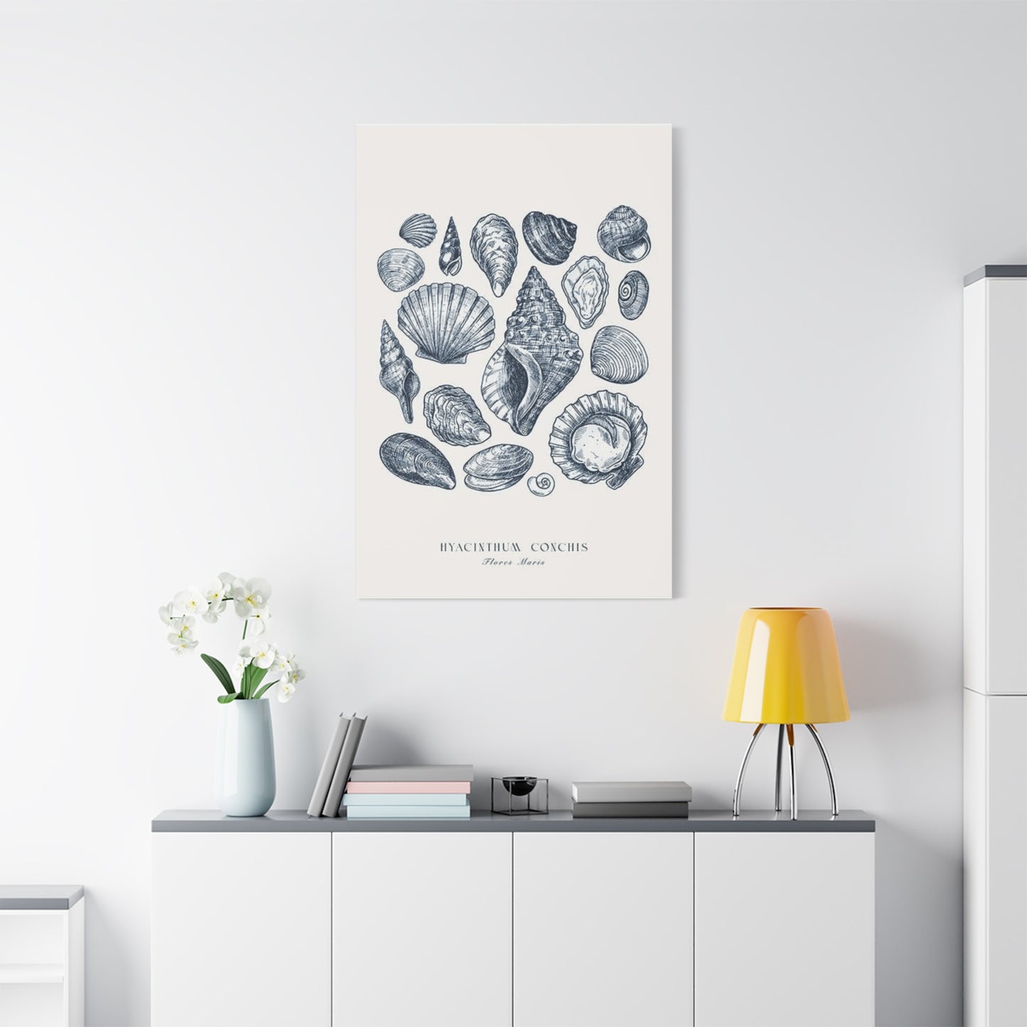 Shell Wall Art & Canvas Prints