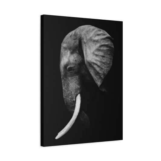 Elephant Side Profile Wall Art & Canvas Prints