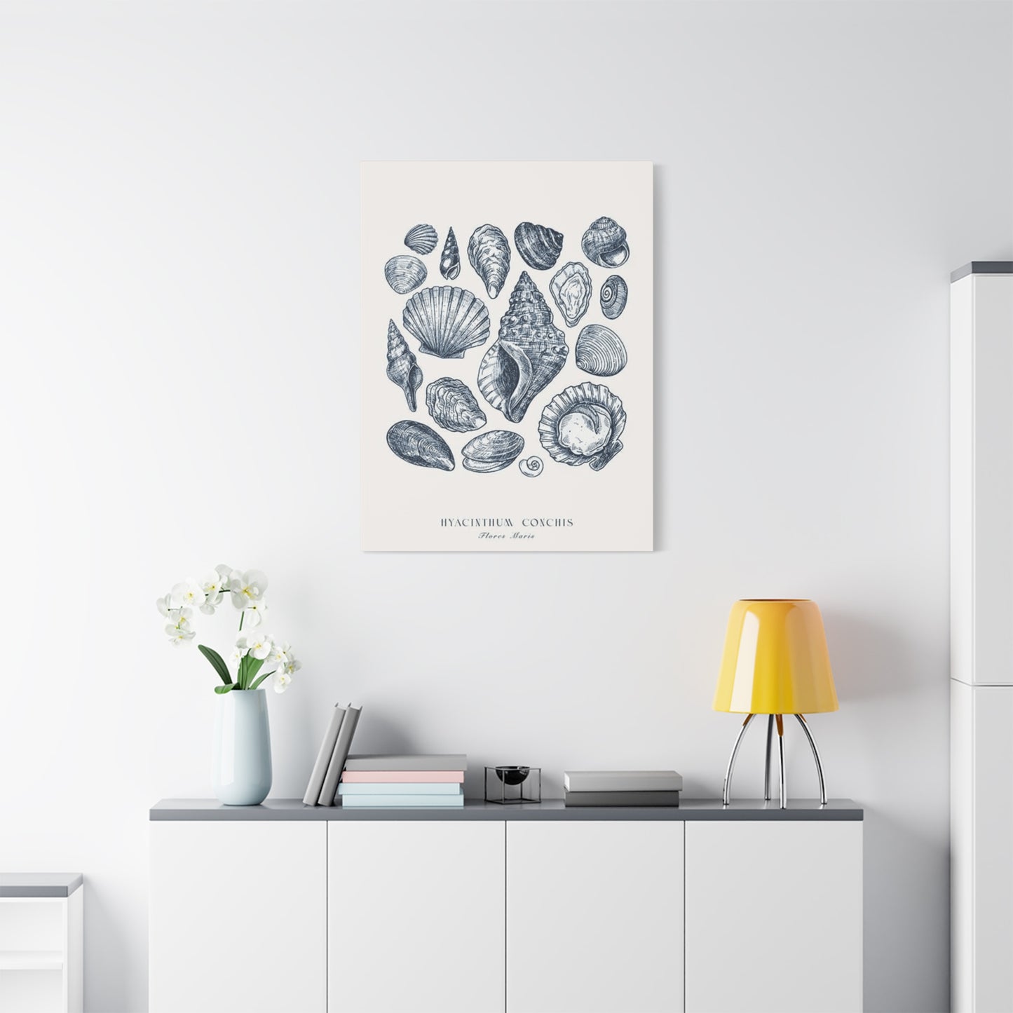 Shell Wall Art & Canvas Prints