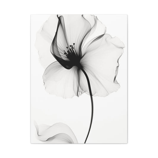 X-Ray Wall Art & Canvas Prints