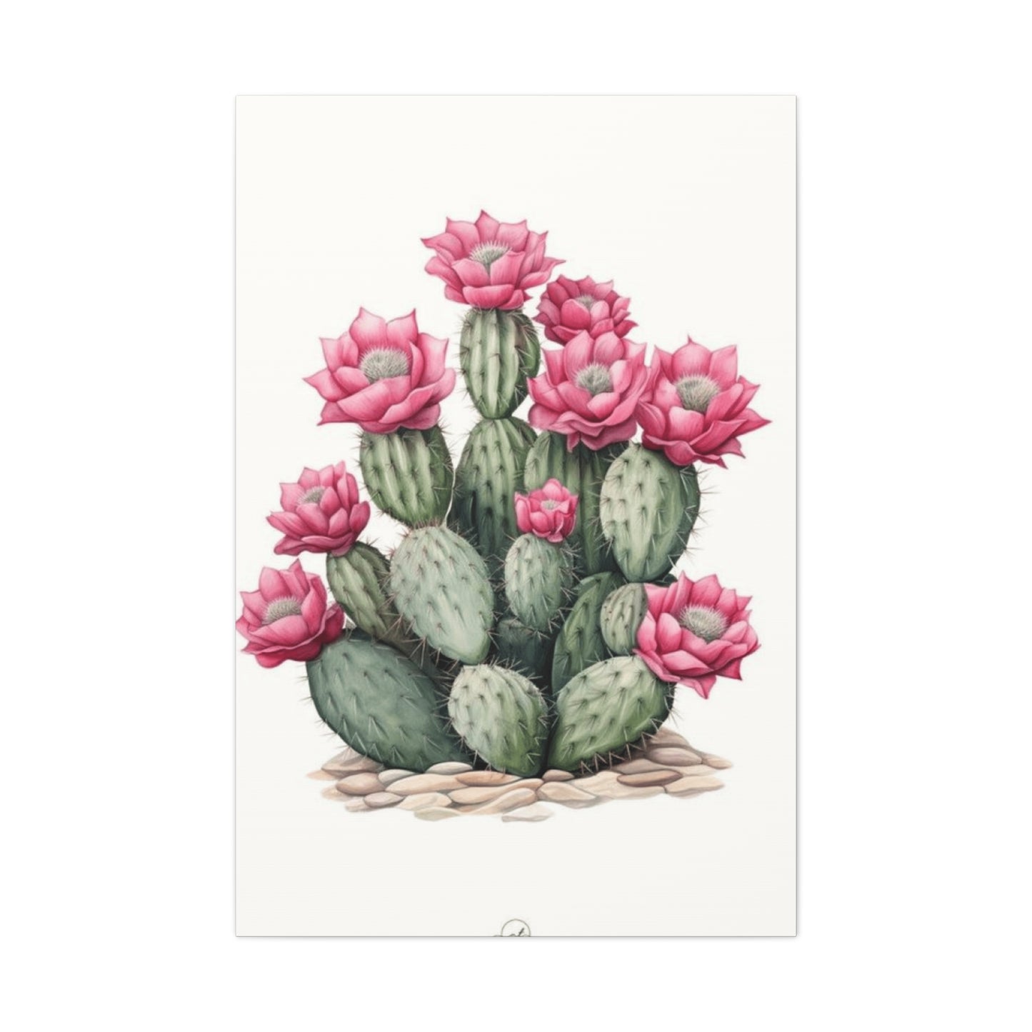 Pink Cactus Flower Wall Art & Canvas Prints