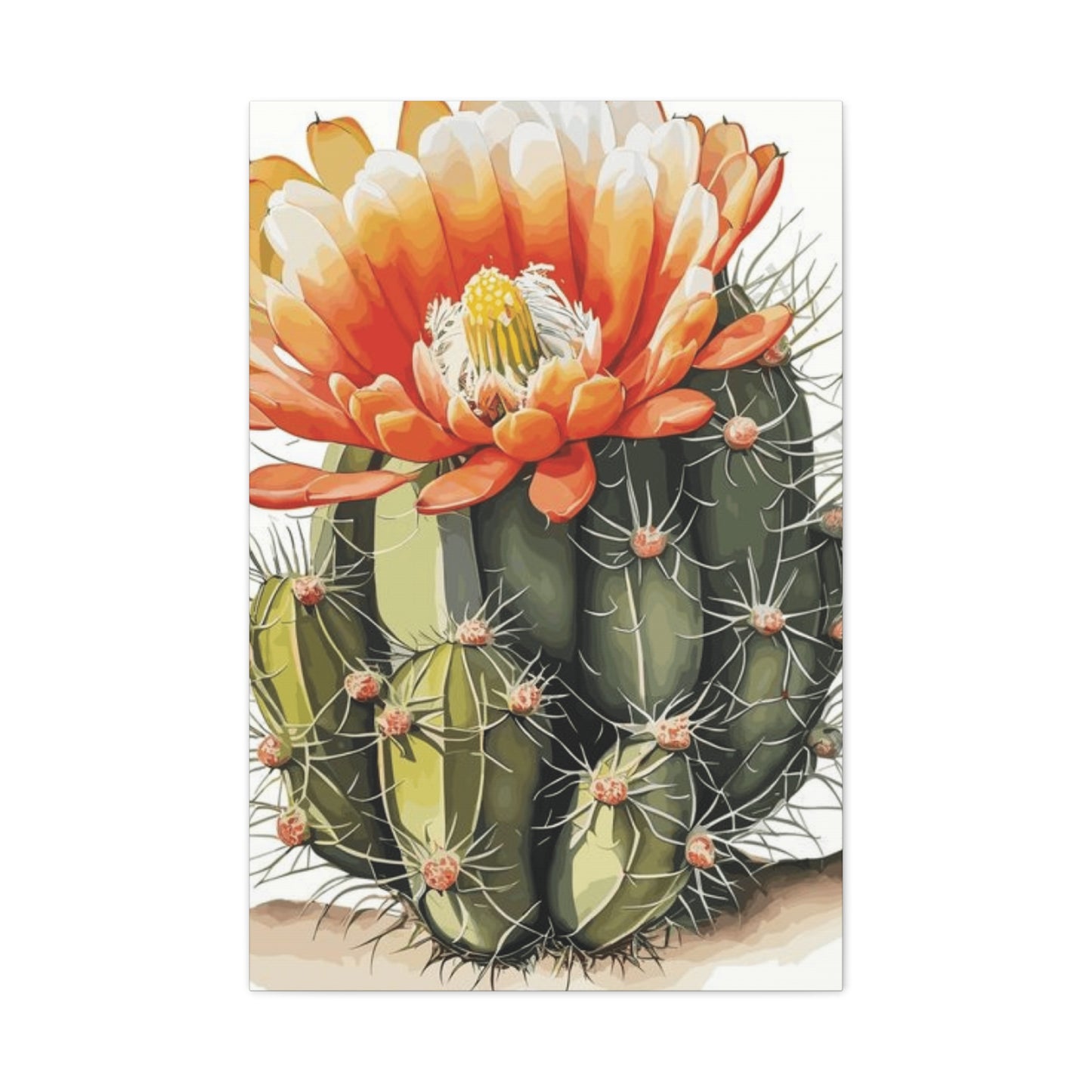 Large Cactus Flower Bloom Flower Wall Art & Canvas Prints