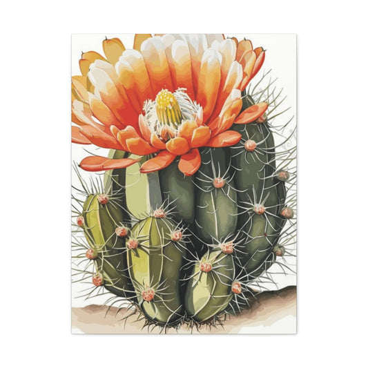 Large Cactus Flower Bloom Flower Wall Art & Canvas Prints