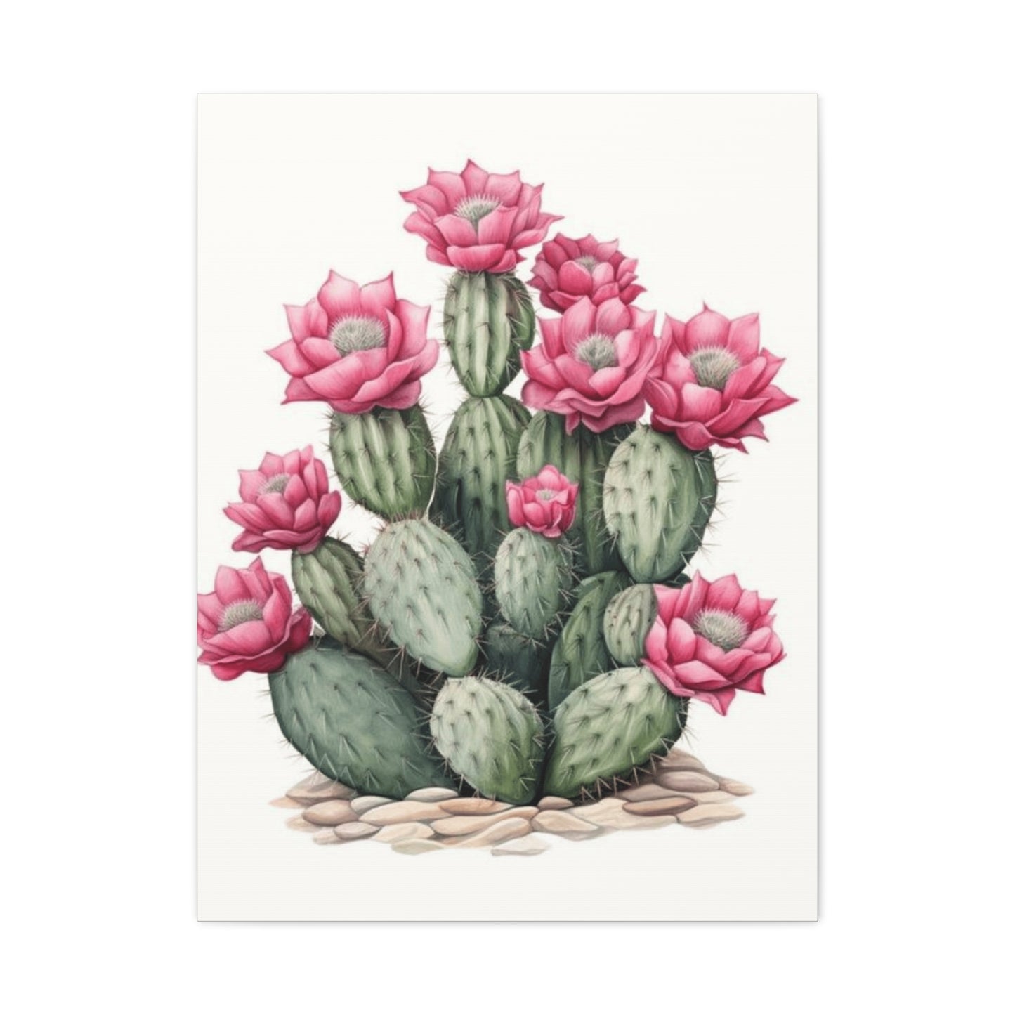 Pink Cactus Flower Wall Art & Canvas Prints