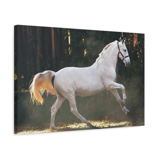 White Horse Wall Art & Canvas Prints