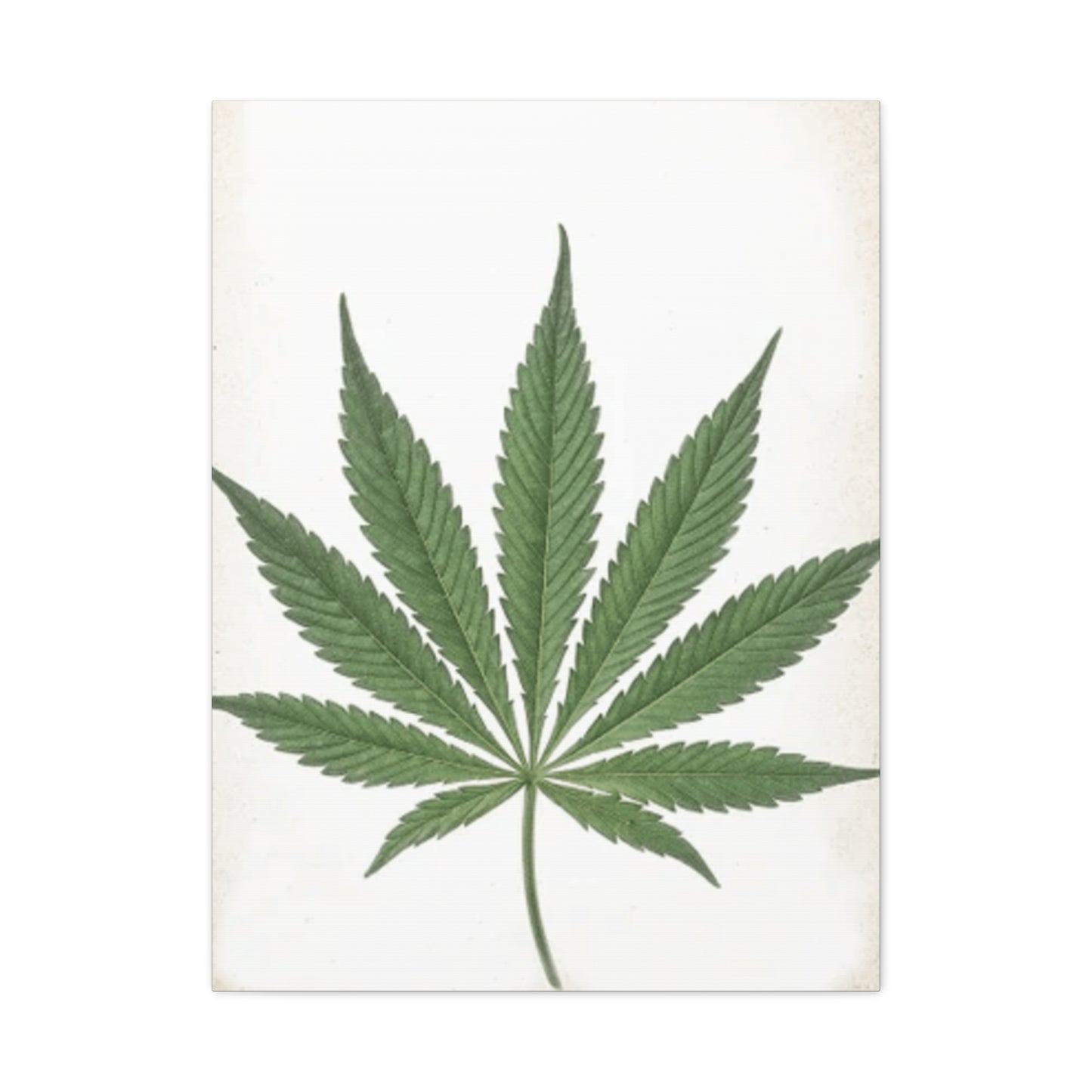 Marijuana Wall Art & Canvas Prints