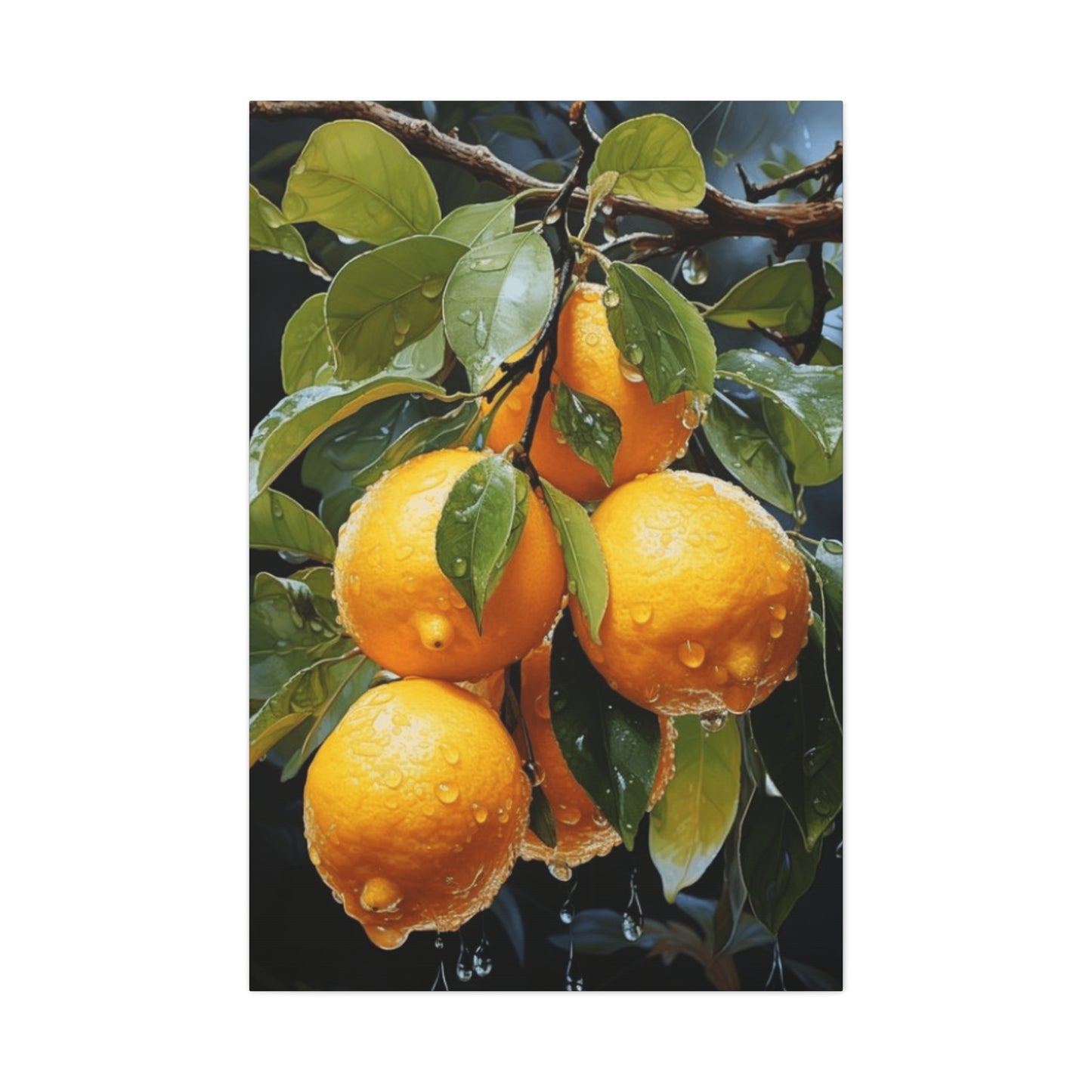 Oranges On Branches Wall Art & Canvas Prints