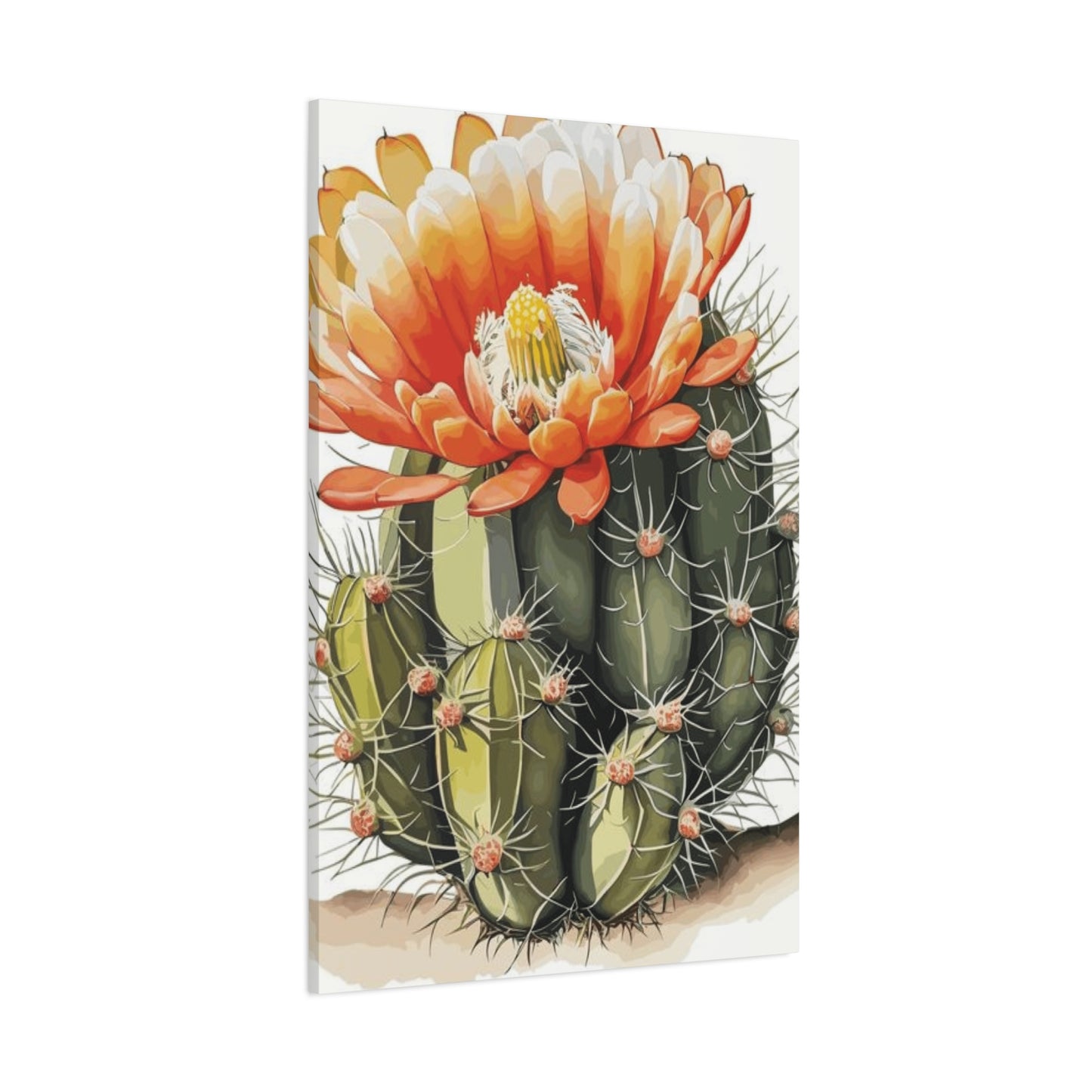 Large Cactus Flower Bloom Flower Wall Art & Canvas Prints