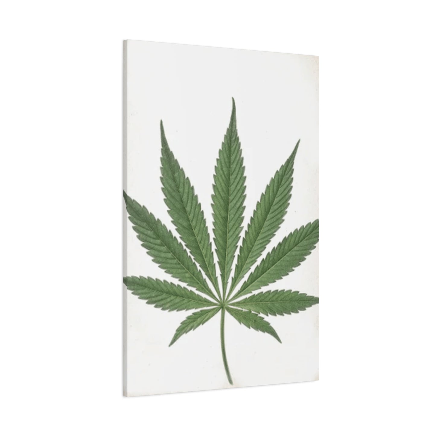 Marijuana Wall Art & Canvas Prints