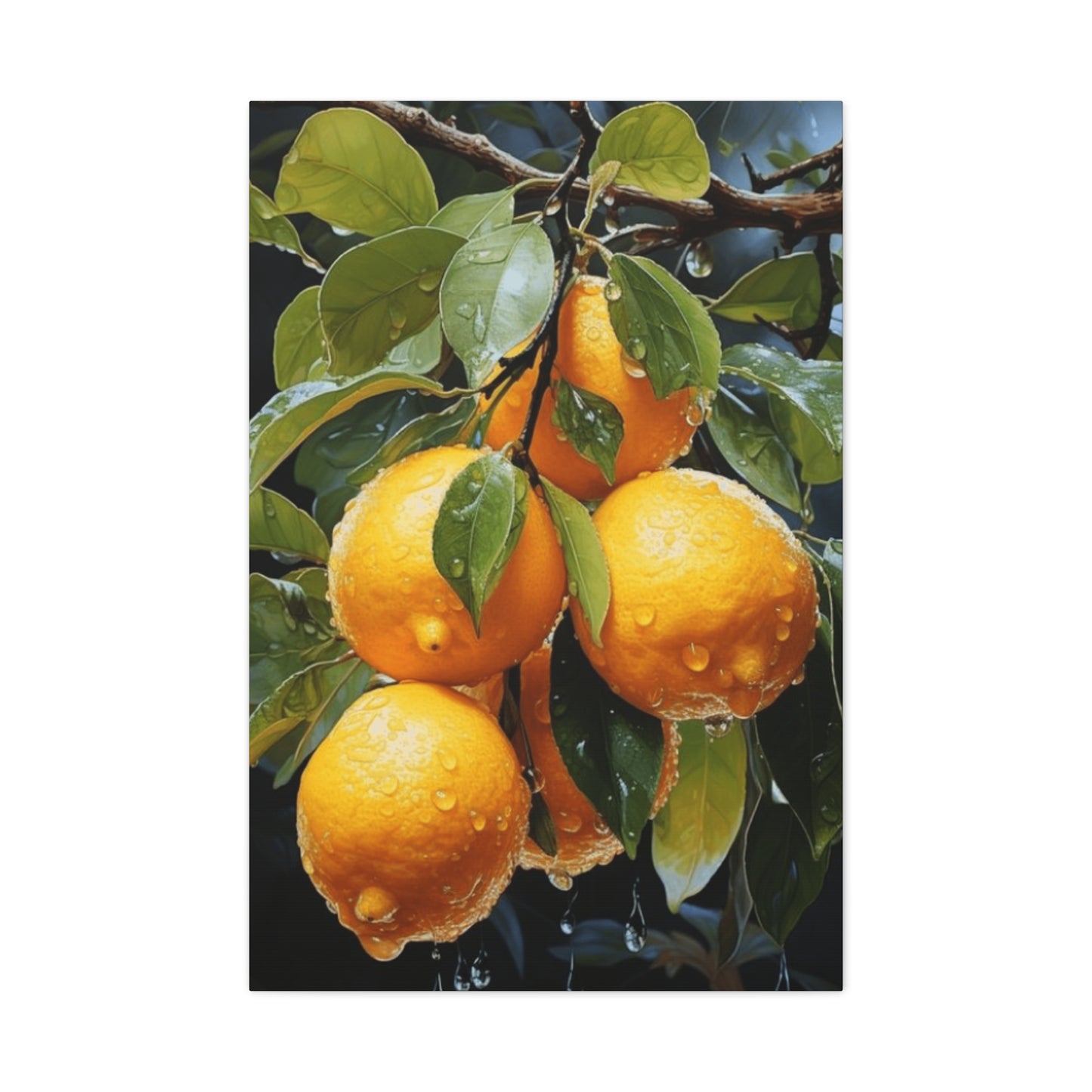 Oranges On Branches Wall Art & Canvas Prints