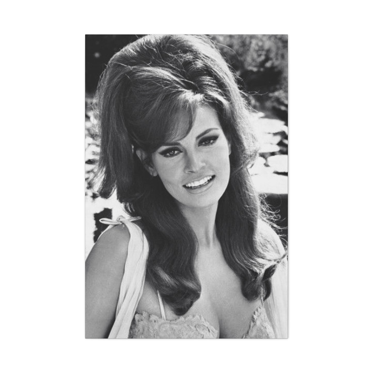 Raquel Welch Wall Art & Canvas Prints