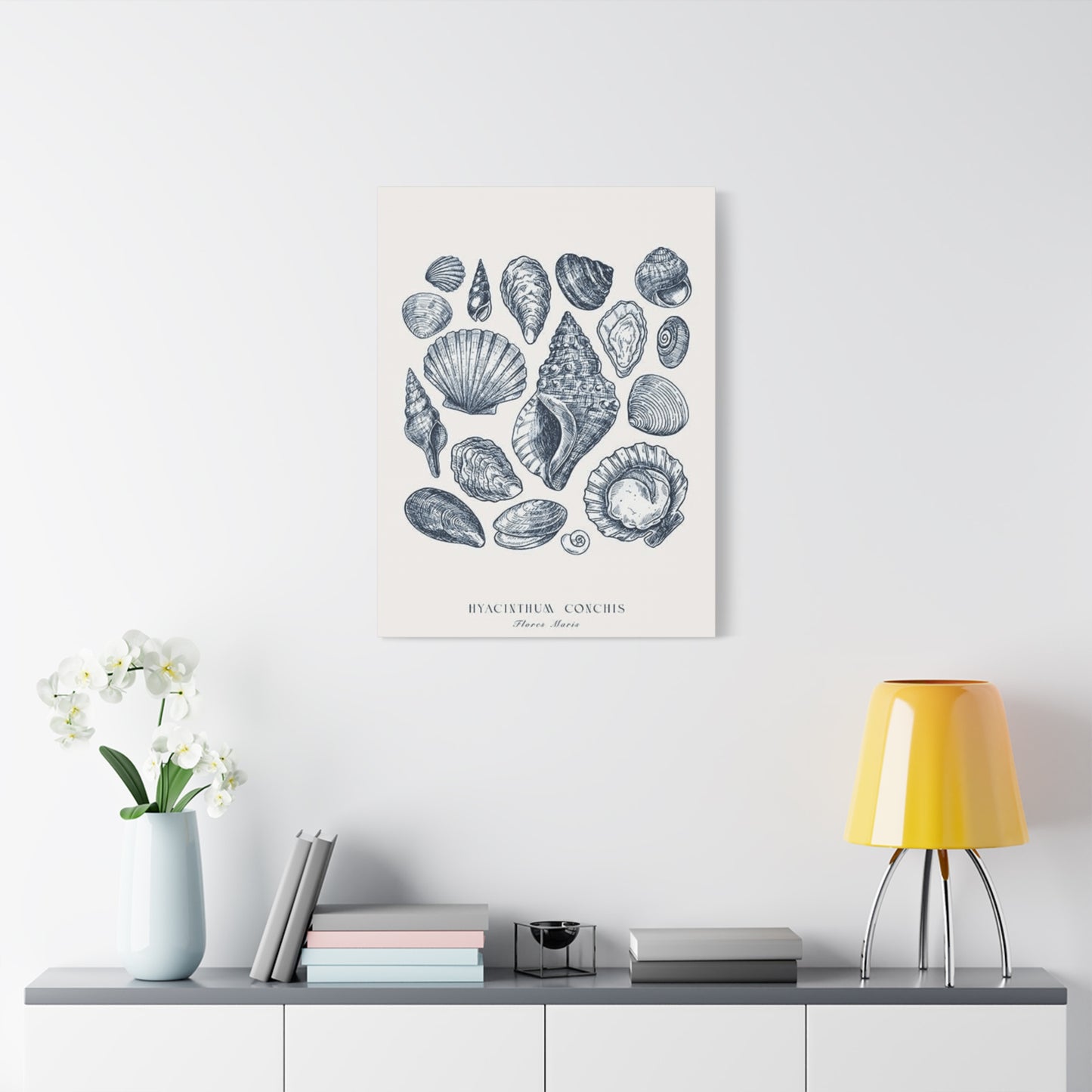 Shell Wall Art & Canvas Prints