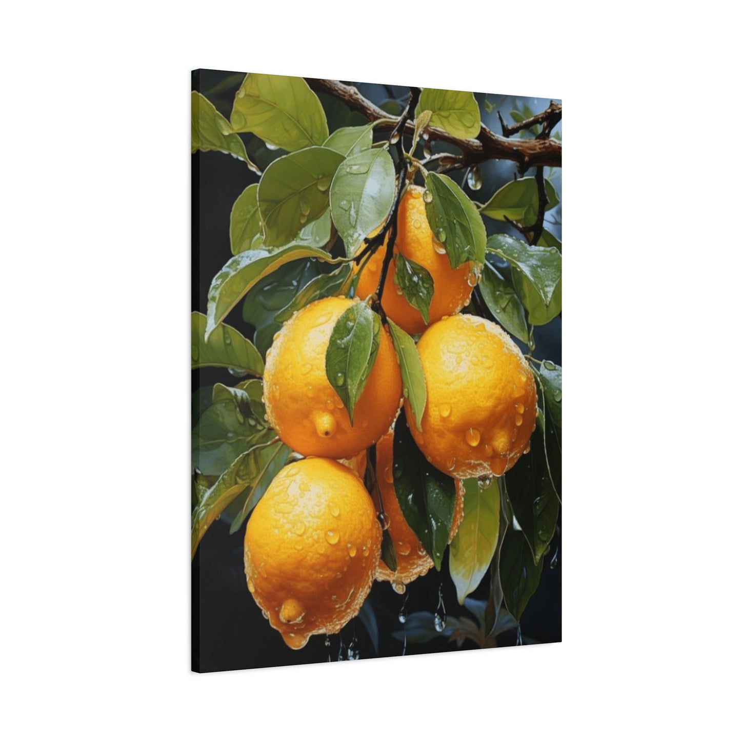 Oranges On Branches Wall Art & Canvas Prints