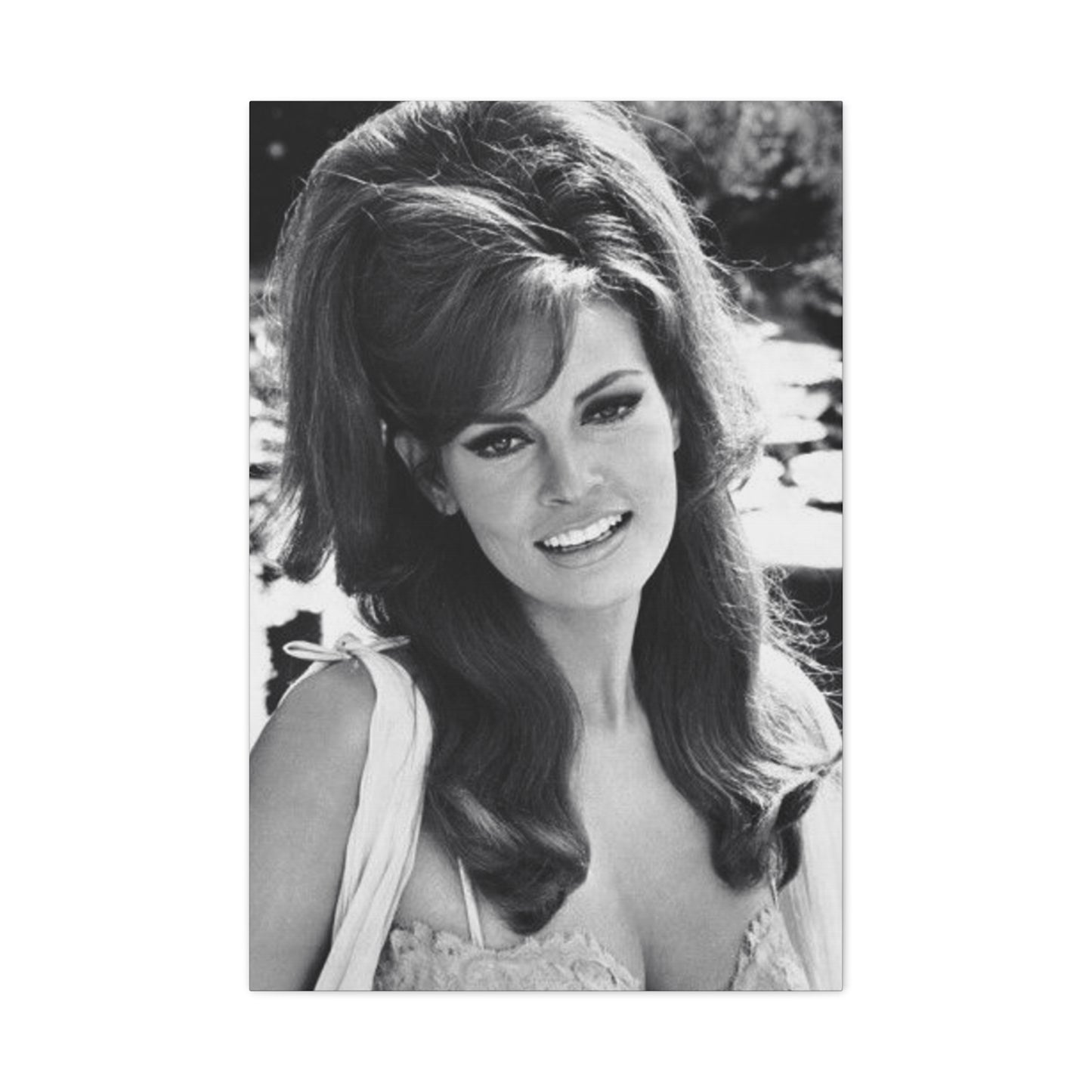 Raquel Welch Wall Art & Canvas Prints